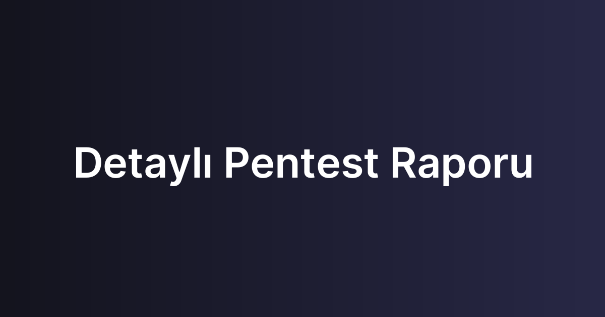 Detaylı Pentest Raporu