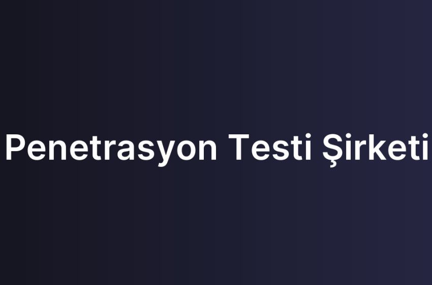 Penetrasyon Testi Şirketi