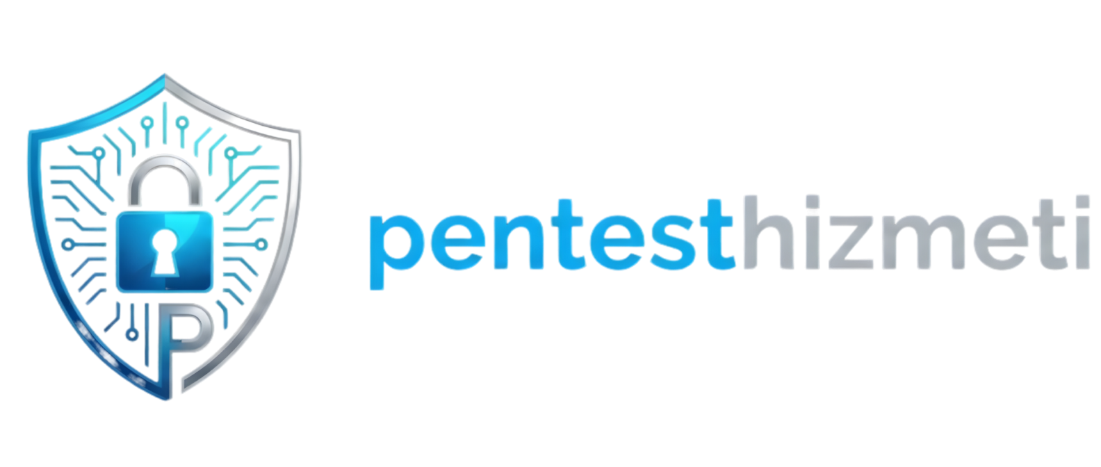 Pentest Hizmeti