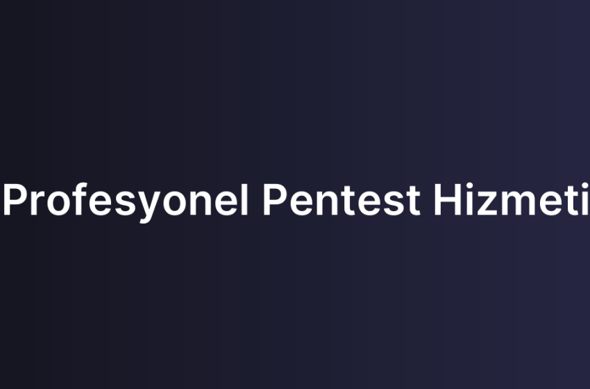 Profesyonel Pentest Hizmeti