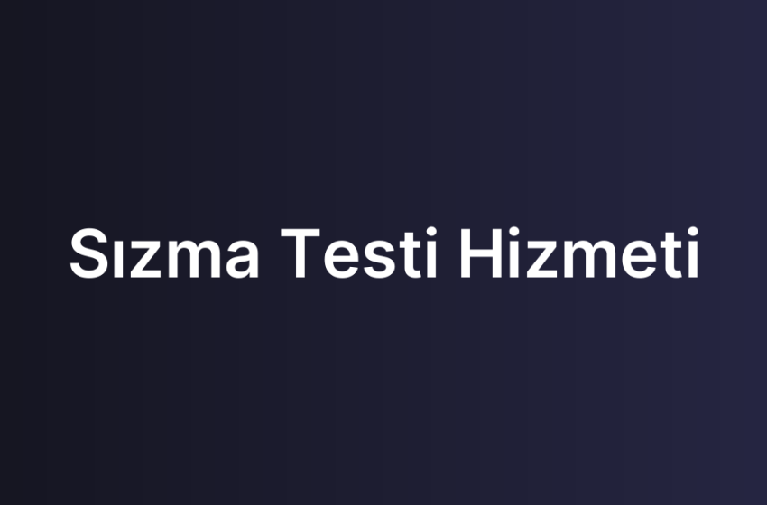Sızma Testi Hizmeti