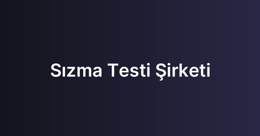 Sızma Testi Şirketi