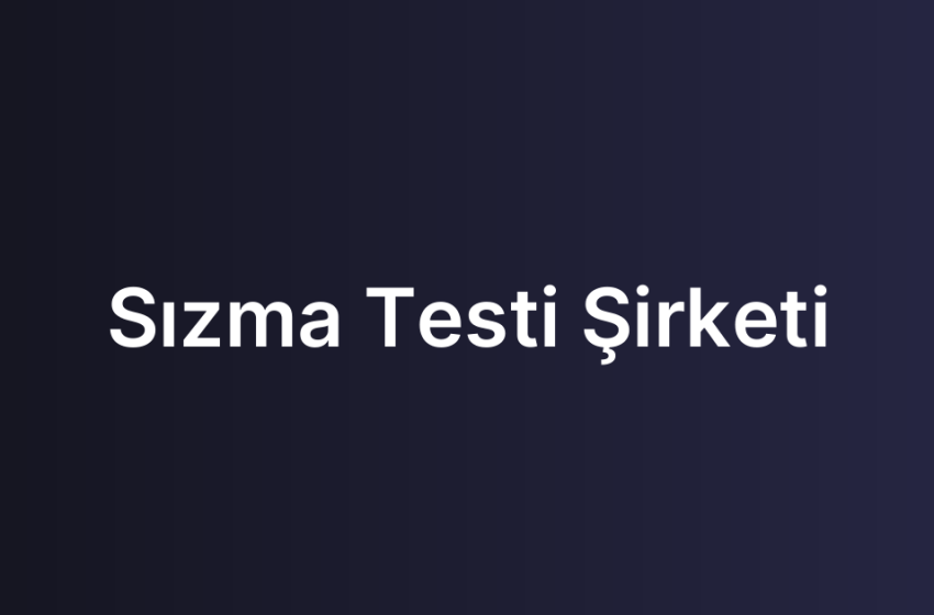 Sızma Testi Şirketi