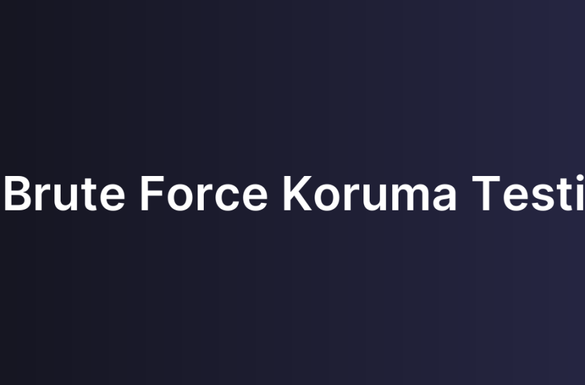 Brute Force Koruma Testi