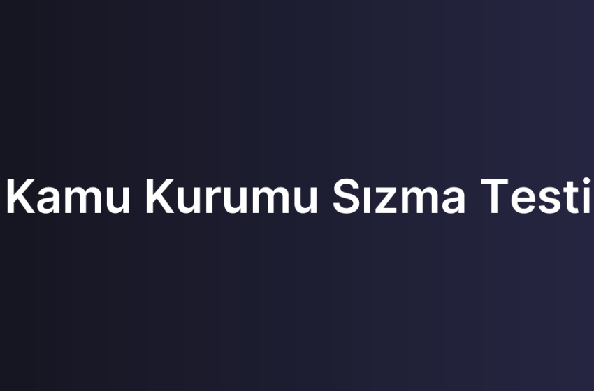 Kamu Kurumu Sızma Testi