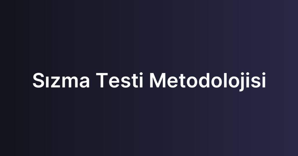 Sızma Testi Metodolojisi