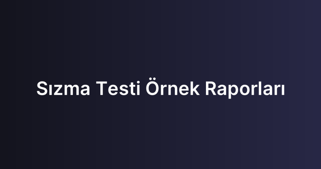 Sızma Testi Örnek Raporları