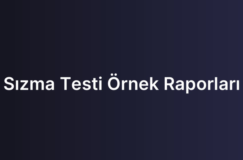 Sızma Testi Örnek Raporları