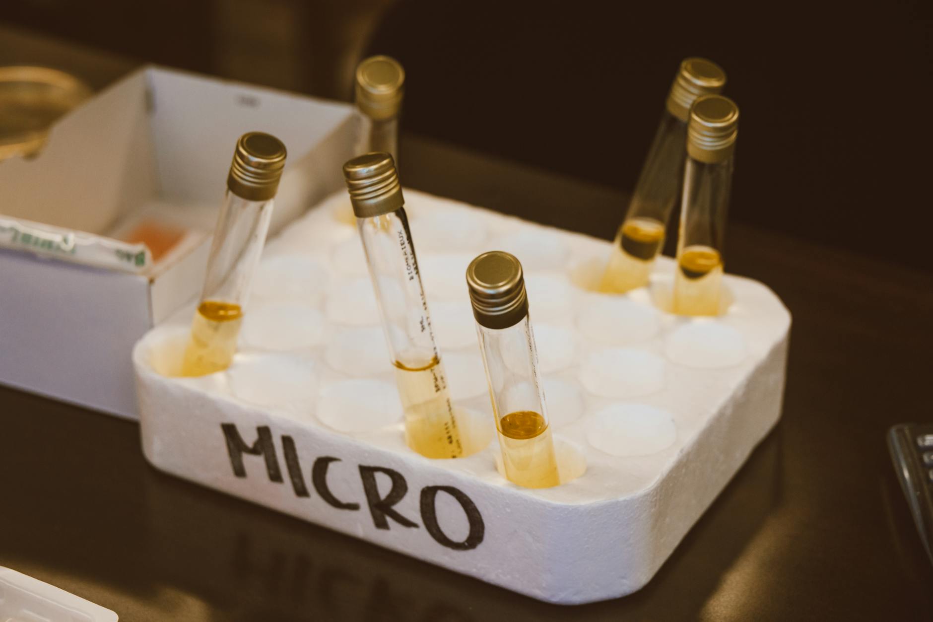 Yük ve Stres Testi Güvenlik Analizi