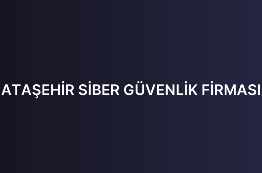 ATAŞEHİR SİBER GÜVENLİK FİRMASI
