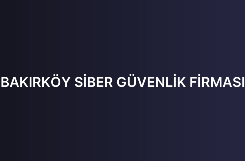 BAKIRKÖY SİBER GÜVENLİK FİRMASI