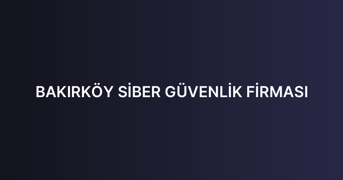 BAKIRKÖY SİBER GÜVENLİK FİRMASI