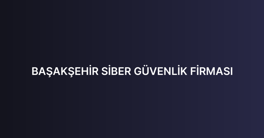 BAŞAKŞEHİR SİBER GÜVENLİK FİRMASI