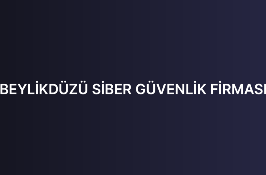 BEYLİKDÜZÜ SİBER GÜVENLİK FİRMASI