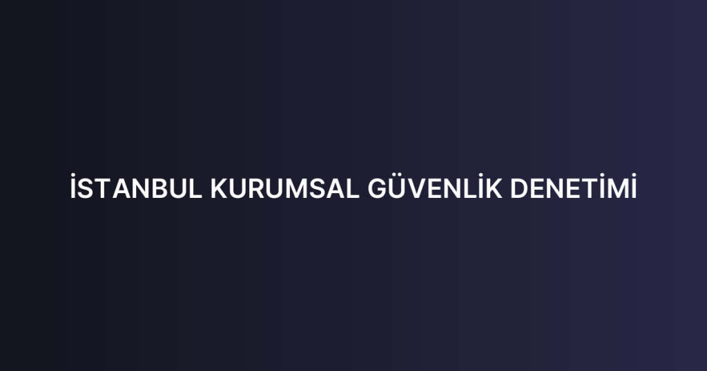 İSTANBUL KURUMSAL GÜVENLİK DENETİMİ