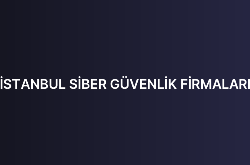 İSTANBUL SİBER GÜVENLİK FİRMALARI