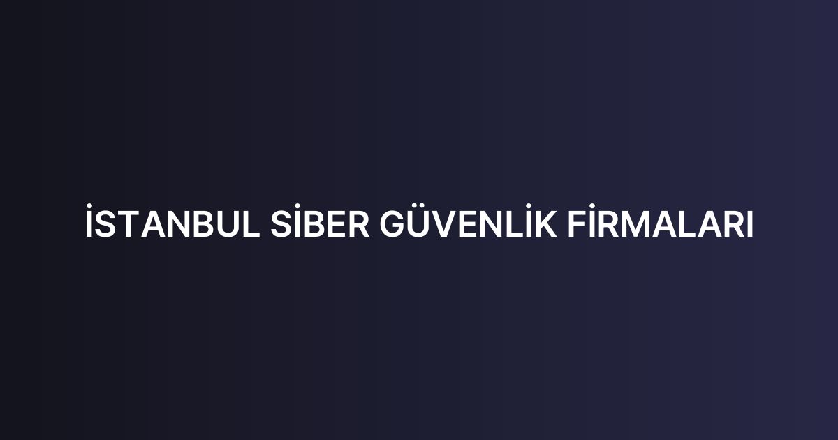 İSTANBUL SİBER GÜVENLİK FİRMALARI