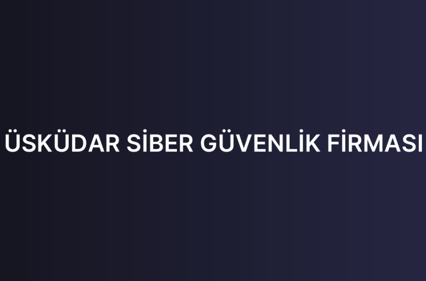 ÜSKÜDAR SİBER GÜVENLİK FİRMASI